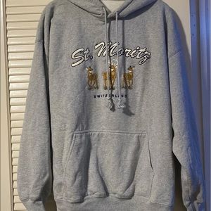 COPY - Brandy Melville St Moritz hoodie (trade only)